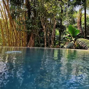A Peace In Paradise Anse Royale